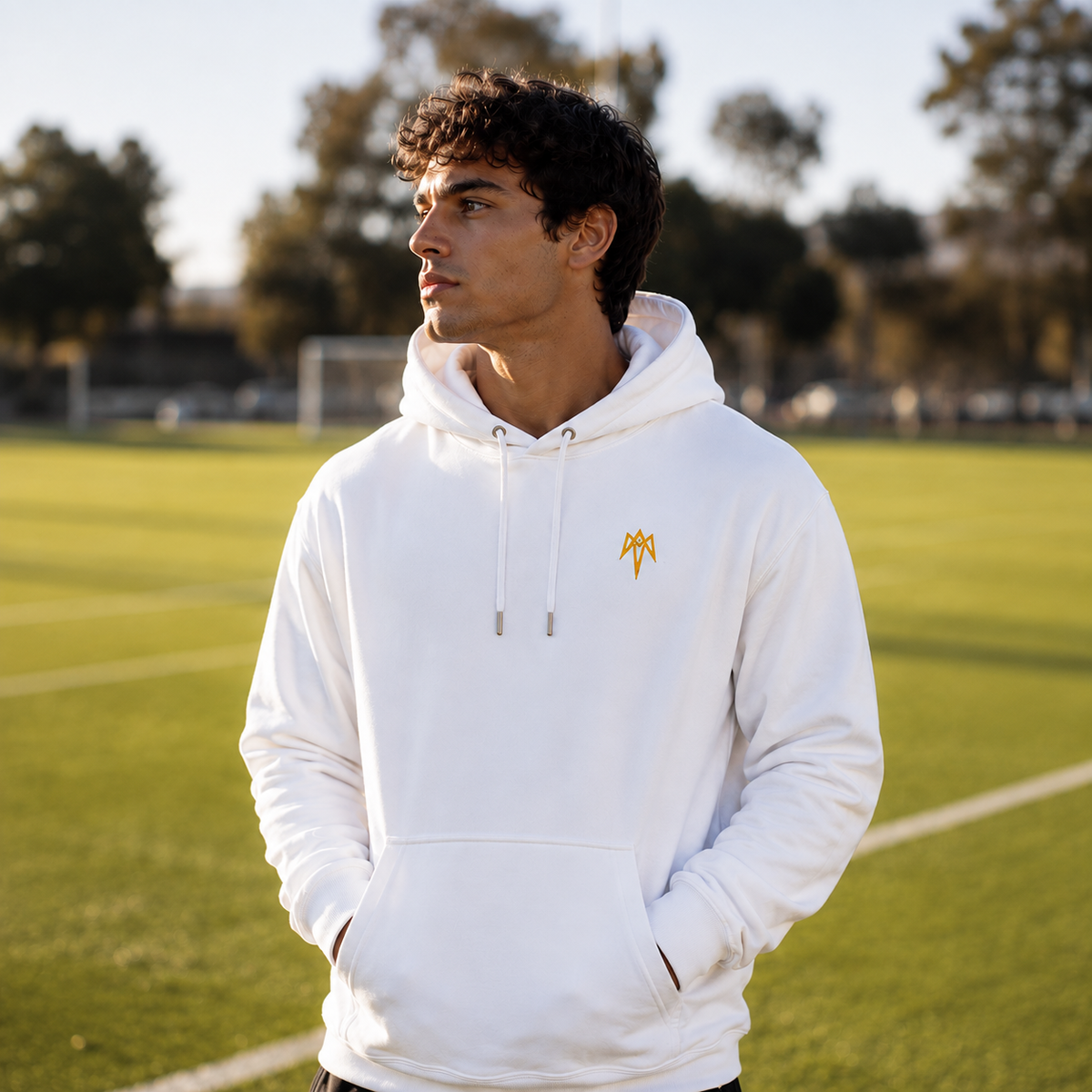 Apex Hoodie
